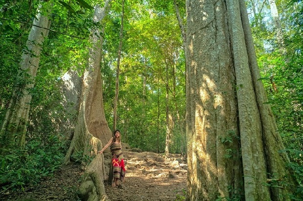 Khu du lịch cáp treo núi Bà Đen Tây Ninh - Vườn quốc gia Lò Gò Xa Mát
