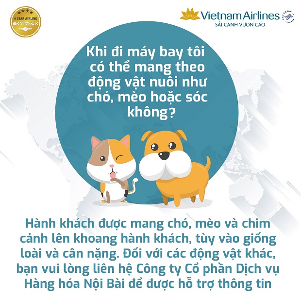 mang theo thú cưng lên máy bay Vietnam Airlines