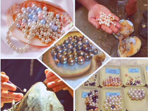 qu&agrave; lưu niệm Ph&uacute; Quốc