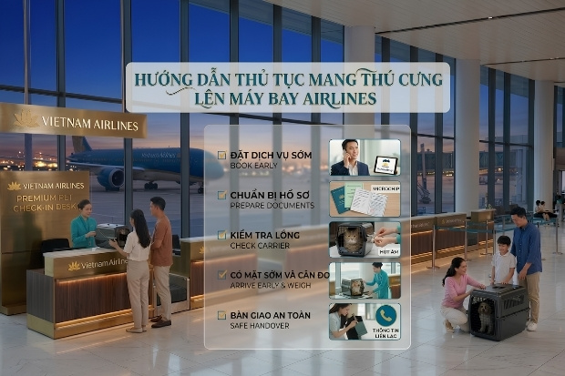 Việc chuẩn bị sớm v&agrave; đ&uacute;ng tr&igrave;nh tự sẽ gi&uacute;p dịch vụ thực hiện su&ocirc;n sẻ