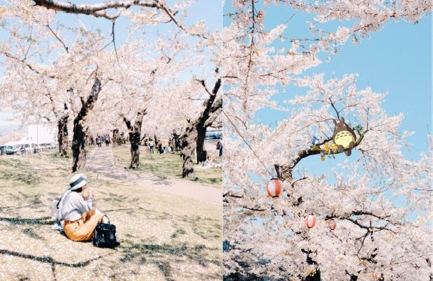 Tour du lịch Hokkaido - Hakodate