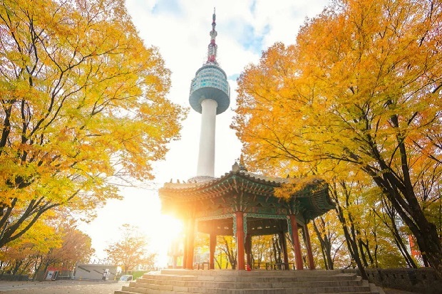 Tour Hàn - Tháp Namsan