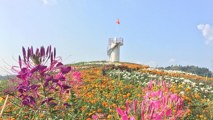 Đèo Pha Đin Điện Biên