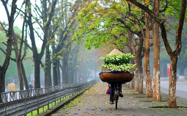 vé máy bay Đà Lạt Hà Nội tháng 4