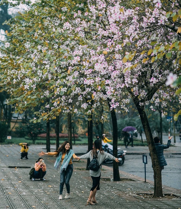 mua vé máy bay đi Hà Nội