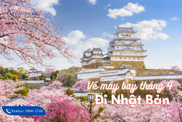 Mua vé máy bay đi Nhật Bản tháng 4, ngắm mùa hoa anh đào đẹp nhất năm