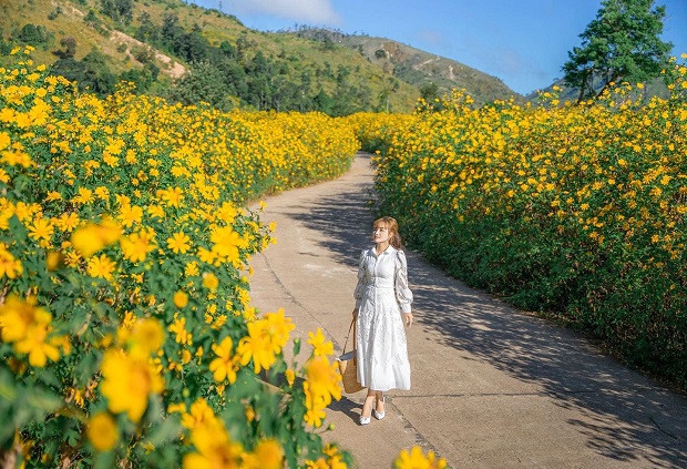 vé máy bay đi Pleiku