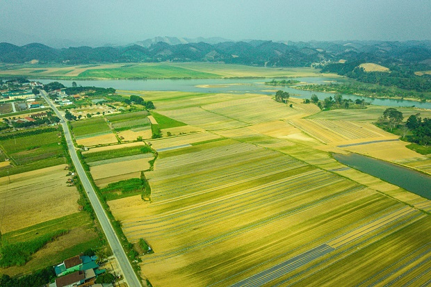 vé máy bay đi Vinh