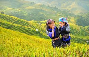 Săn vé máy bay từ Hà Nội đi Điện Biên giá rẻ cùng Vietnam Booking – Hành trình về miền hoa ban trắng