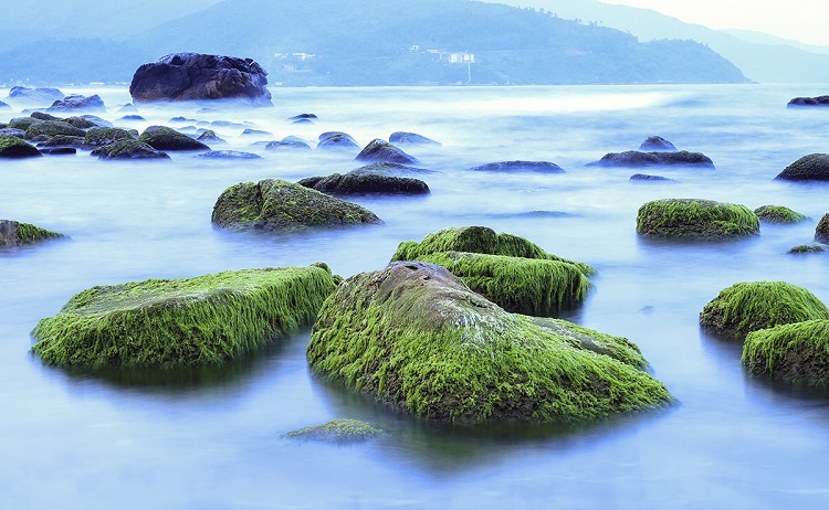 rạn Nam Ô Đà Nẵng