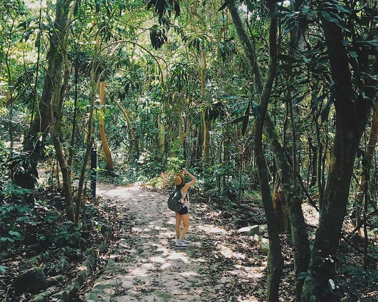 vườn quốc gia Côn Đảo