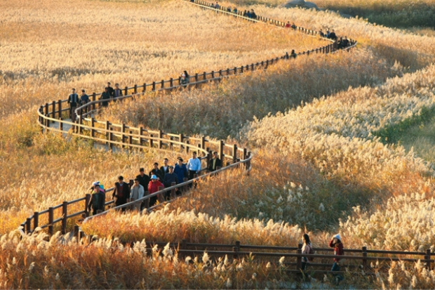 H&agrave;n Quốc c&oacute; mấy m&ugrave;a - Vịnh Sunchoen.