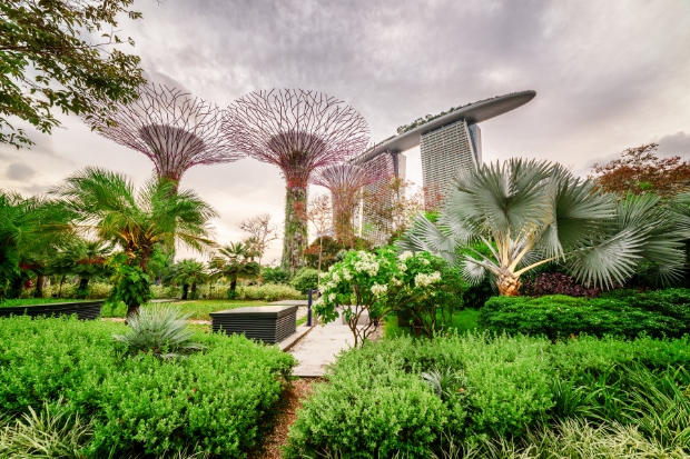Cẩm nang du lịch Singapore - Tham quan Garden by the Bay.