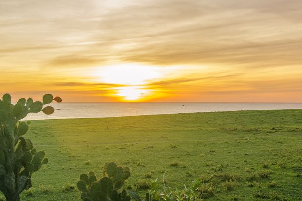 combo Quy Nhơn Phú Yên - Bãi Xép