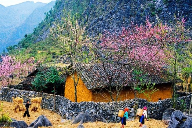 Du lịch Hà Giang mùa hạ tham quan làng Lô Lô Chải