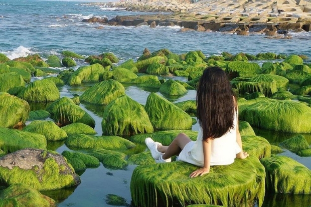 Du lịch Nha Trang tự túc 2023 - Bãi rêu.