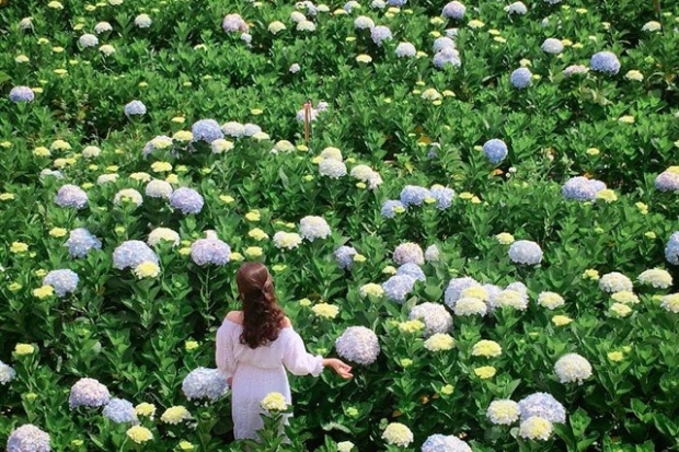 Tháng 9 nên đi du lịch ở đâu? Nếu chưa có câu trả lời hãy đi du lịch Đà Lạt.