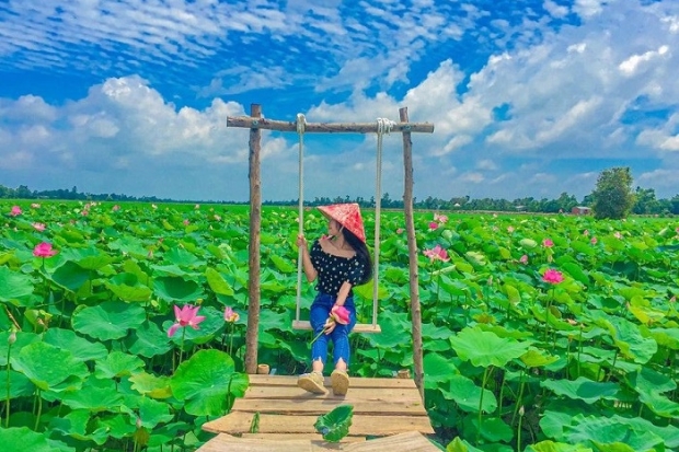 Tháng 9 nên đi du lịch ở đâu? Về Tháp Mười để chiêm ngưỡng vẻ đẹp của đồng sen nhé!