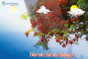 Thời tiết Hà Nội tháng 5 và mẹo săn vé máy bay giá rẻ du lịch