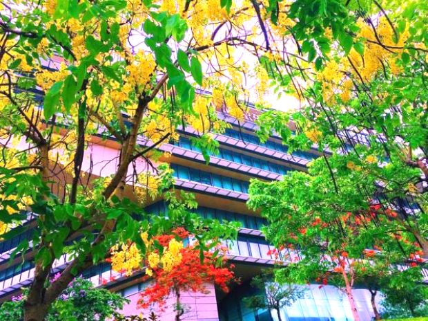 Thời tiết H&agrave; Nội th&aacute;ng 5