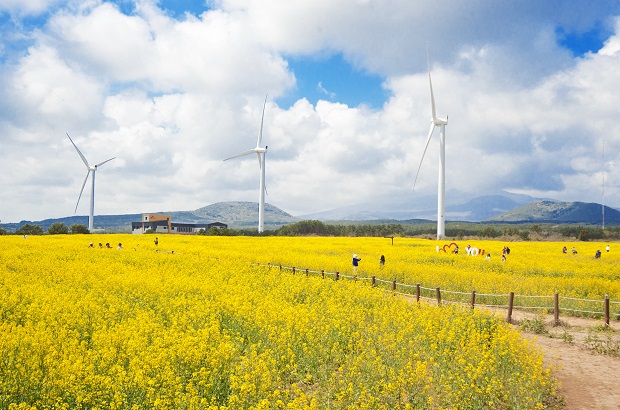 thời tiết Jeju tháng 4