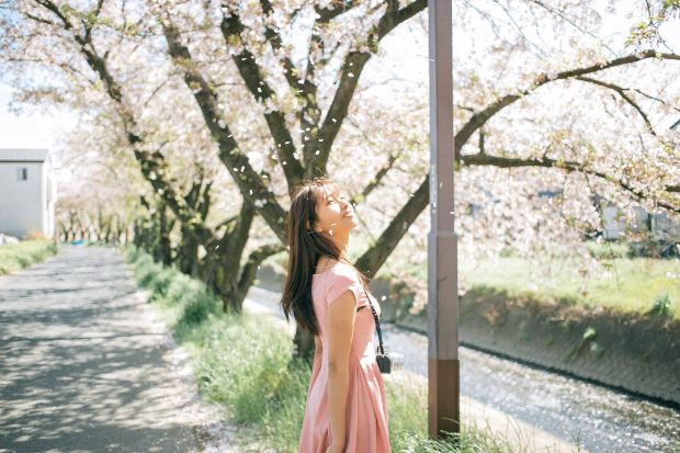 tour đi Tokyo - hoa anh đ&agrave;o tại Nhật Bản