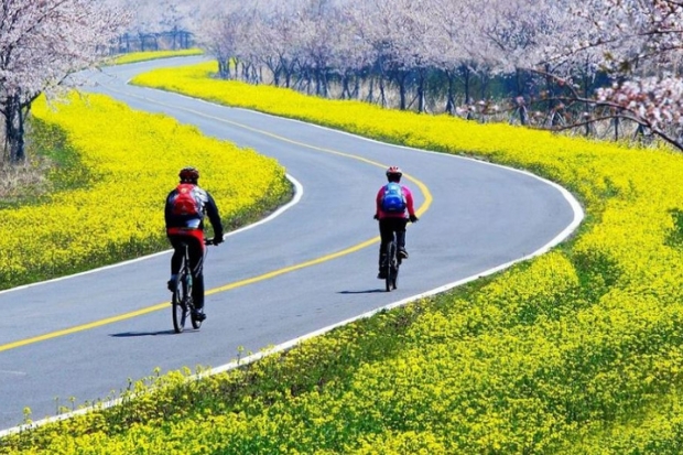Trải nghiệm tại Hàn Quốc - Đạp xe tại Hàn Quốc.