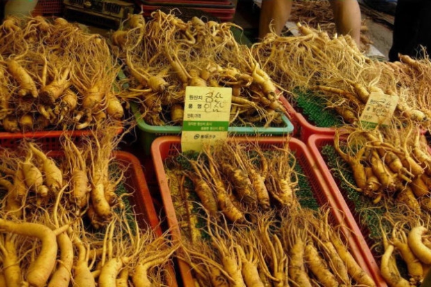 Trải nghiệm tại Hàn Quốc - Nhân sâm Hàn Quốc.