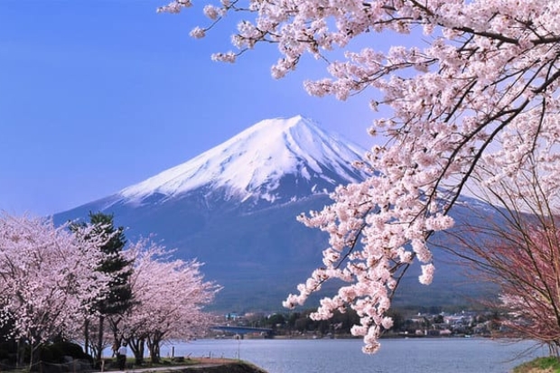 Trải nghiệm tại Nhật Bản - Núi Phú Sĩ.