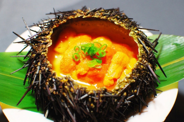 Trải nghiệm tại Phú Quốc - Nhum biển.