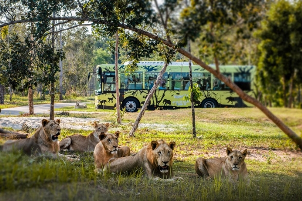 Trải nghiệm tại Phú Quốc - Safari Phú Quốc.