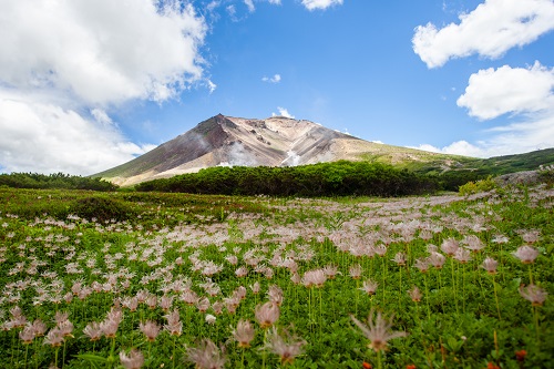 mua v&eacute; m&aacute;y bay đi Asahikawa Nhật Bản