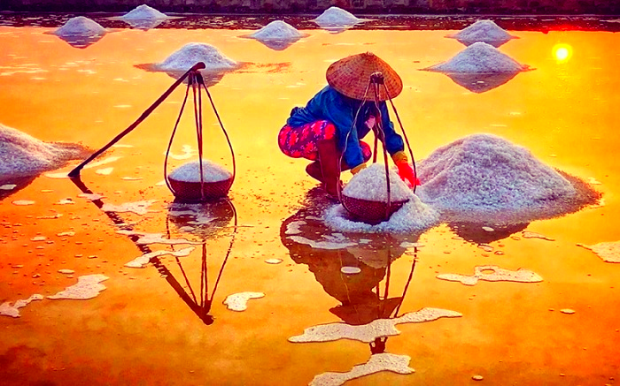 V&eacute; m&aacute;y bay S&agrave;i G&ograve;n về Quảng Ng&atilde;i