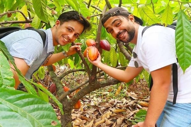 Vietnambooking du lịch miền Tây - vườn ca cao Mười Cương.