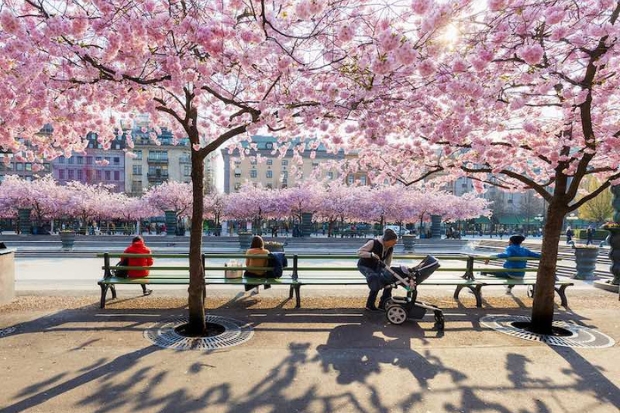 Stockholm ở đâu - Công viên Kungstradgarden