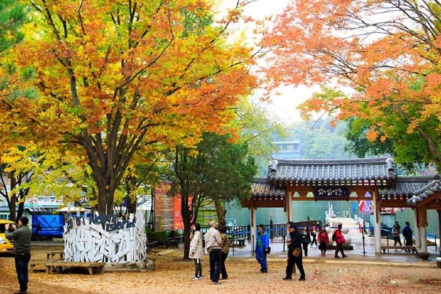 Cách đi du lịch Hàn Quốc - Mùa thu