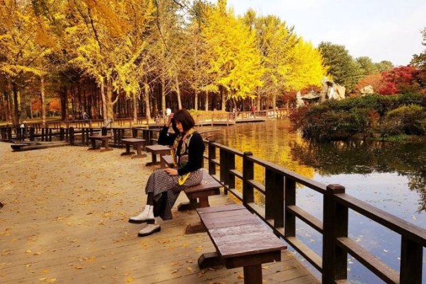 Cách đi du lịch Hàn Quốc - Đảo Nami