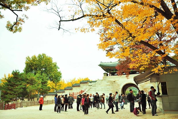 Cách đi du lịch Hàn Quốc - Lưu ý du lịch theo tour 