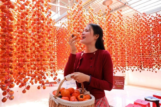 Đặc sản Đ&agrave; Lạt - Hồng treo gi&oacute;