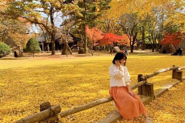 Địa điểm nổi tiếng ở Hàn Quóc - Đảo Nami