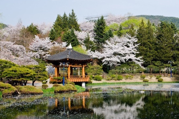 Địa điểm nổi tiếng ở Hàn Quóc - Vọng lâu Bomun