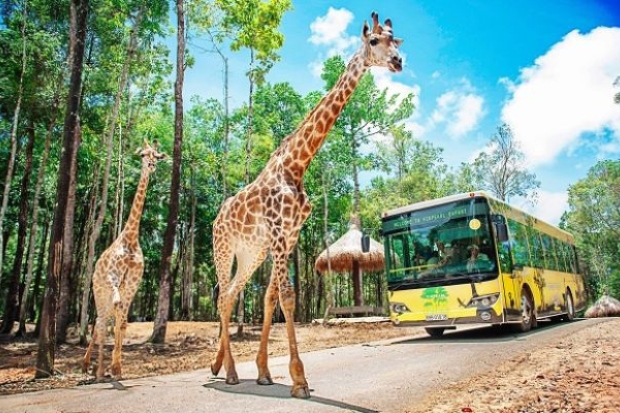 Du lịch Vinpearl Nha Trang - safari Nha Trang