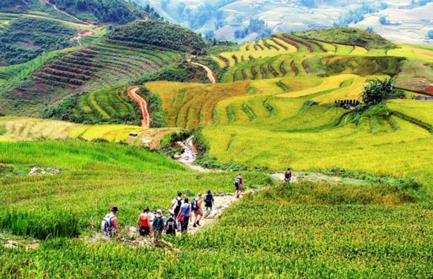 Mùa hè nên du lịch ở đâu - Sapa