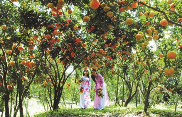 Mùa hè nên du lịch ở đâu - Vườn trái cây