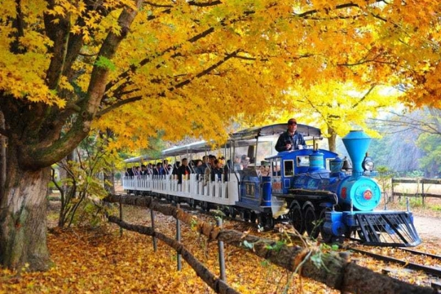 Nami Hàn Quốc - Tàu UNICEF