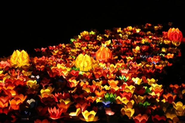 Tết Nguy&ecirc;n Ti&ecirc;u 2024 - hoạt động