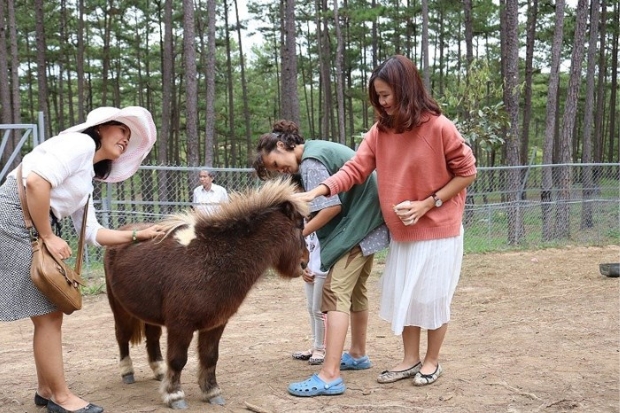 Tour du lịch Đà Lạt cho gia đình - Zoodoo