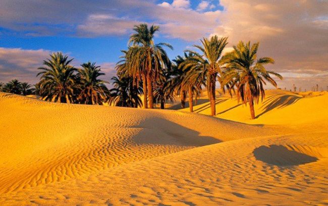 Khám phá những thắng cảnh ngoạn mục của Châu Phi khi tham gia tour lễ 2/9