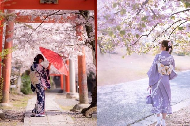 Tour du lịch Nhật Bản cao cấp - hoa anh đào
