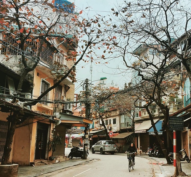 Hà Nội 36 phố phường